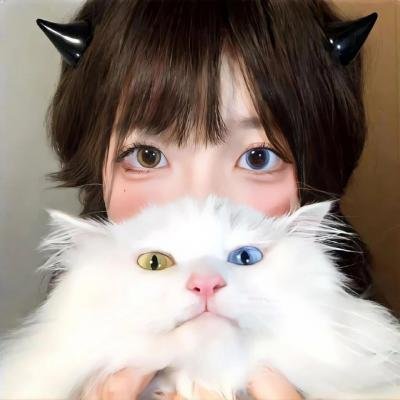 九霄龙吟传